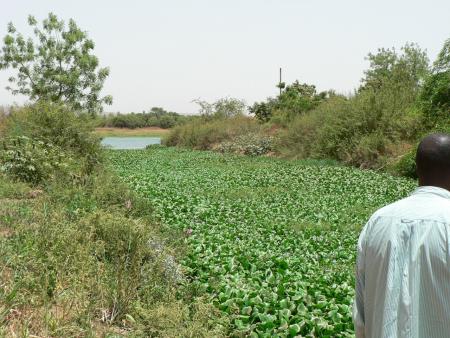 Admirez ce pasage with me